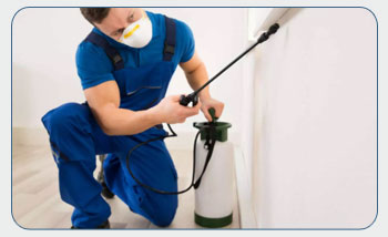 Pest Control Services